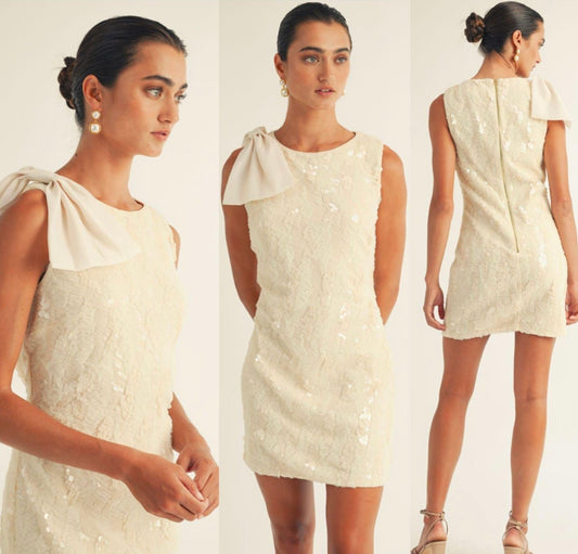 Ami sparkle dress