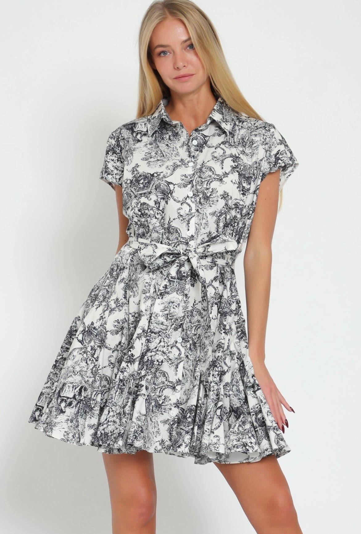 The toile mini dress