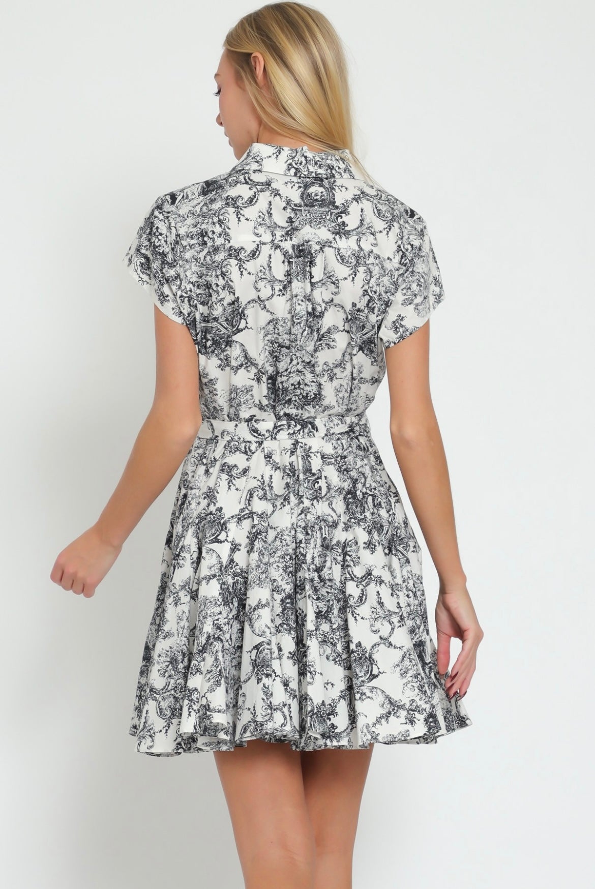 The toile mini dress