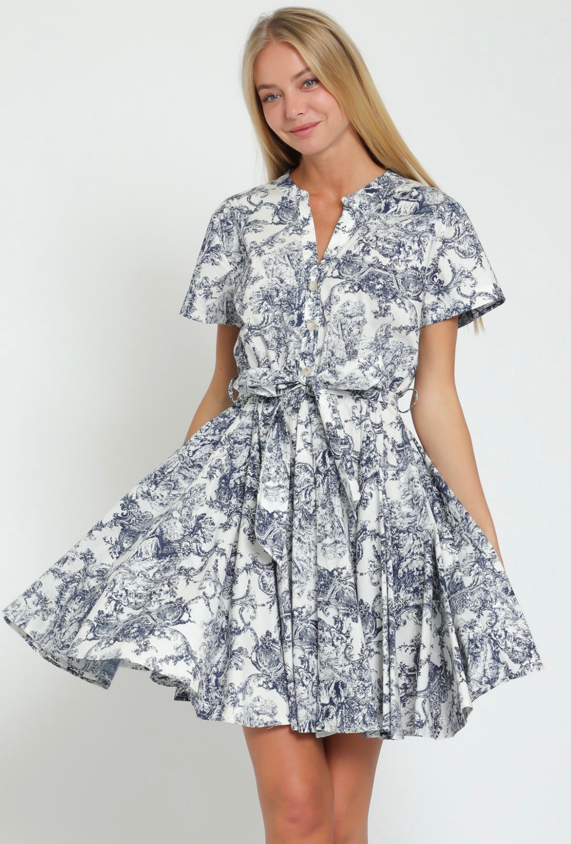 The toile mini dress