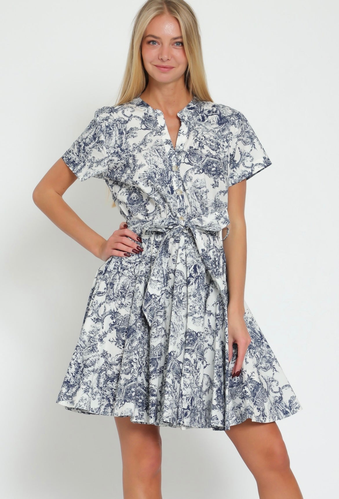 The toile mini dress